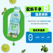 粤盐生态海盐小青桔汁饮料300ml/瓶  酸甜可口 解渴果汁饮料 6瓶/组／15瓶/箱