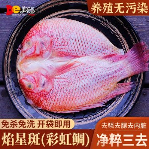 到手3条 焰星斑红星斑鱼珍珠斑红鲷鱼红罗非鱼冰冻彩虹鲷开背三去