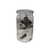 【精选好礼】迎补堂广东三宝三宝扎 250g礼盒装 送礼佳品