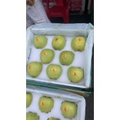 【广东省内包邮】正宇土岐苹果 约4.5斤