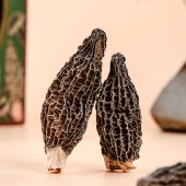 海滋冠羊肚菌礼盒装80g 山珍干货干菌菇类 煲汤火锅食材