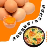 鲁王稻沁富硒无抗土鸡蛋30枚 新鲜鸡蛋富硒鸡蛋