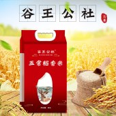 鲁王 礼包LW-C 粮油大米食用油大礼包