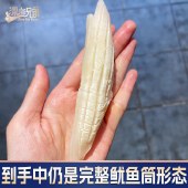 深海兄弟火箭鱿鱼500g*2包 烧烤火锅食材冷冻批发商用冷冻水产品