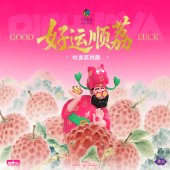 唐心好运顺荔240g 岭南荔枝酥手工糕点休闲零食下午茶点心广州特产伴手礼