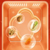 洽洽 六合臻品1495g 零食坚果礼盒年货礼盒