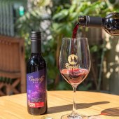 凯仕丽 绿洲（珍藏版）2015干型红葡萄酒