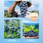 太慕越南进口果汁100%蓝莓汁330ml*6瓶