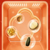 洽洽 健康礼坚果礼盒1348g 零食坚果礼盒年货礼盒