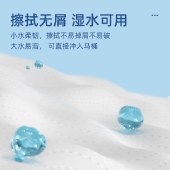 植护 气垫有芯卫生纸（碎冰蓝系列）100*120/5层 125g 12卷*1提 卷纸巾卷筒纸