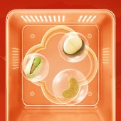 洽洽 洽享嘉圆礼盒2013g 零食坚果礼盒年货礼盒