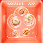 洽洽坚果礼-特选福礼1504g 零食坚果礼盒年货礼盒