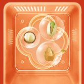 洽洽坚果礼-锦实献瑞1296g 零食坚果礼盒年货礼盒