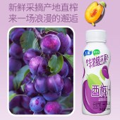 太慕越南进口果汁100%西梅汁330ml*6瓶
