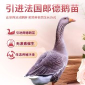 玫瑰鹅肝开袋即食法式国商用工厂店朗德霍邱旗舰寿司专用刺身日料（15朵/盒）115G/盒